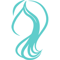 detangling miracle brush teal